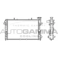 Радиатор охлаждения двигателя AUTOGAMMA E 1LN2 Chrysler Voyager 4 (RG, RS) Минивэн 2.4 147 л.с. 2000 – 2008 105645 3YYKB