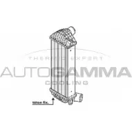 Интеркулер AUTOGAMMA 8P9GC B 105673 Renault Kangoo Be Bop R5JQ3N7