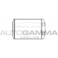Радиатор печки, теплообменник AUTOGAMMA Fiat 105743 DIBGKW0 M GYCM