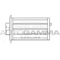 Радиатор печки, теплообменник AUTOGAMMA 3852783 105744 KJI AIV C4LSETB