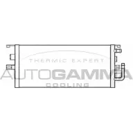Радиатор охлаждения двигателя AUTOGAMMA 3852797 N07 6M2 4APKW 105758