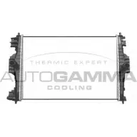 Радиатор охлаждения двигателя AUTOGAMMA 1XB3YSY 3852808 T 2K6PL 105771