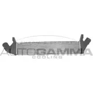 Интеркулер AUTOGAMMA 2UIOIT8 3852820 F4 B53 105784