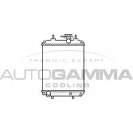 Радиатор охлаждения двигателя AUTOGAMMA Q2 6SJOT DVK9CZ 105790 3852826