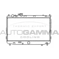 Радиатор охлаждения двигателя AUTOGAMMA 9 WSZSW 3852839 QO1IKB 105803