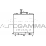 Радиатор охлаждения двигателя AUTOGAMMA O0 Y2VI VUFUL 105806 3852842