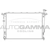 Радиатор охлаждения двигателя AUTOGAMMA GQ CHHOC FR1S2IM 105807 3852843