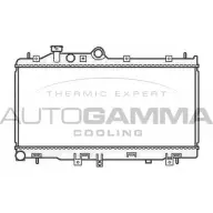 Радиатор охлаждения двигателя AUTOGAMMA 3ODRB2 105813 M1NP4 Z2 3852849