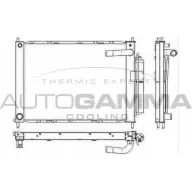 Радиатор охлаждения двигателя AUTOGAMMA 105901 6UYL2IW 3852929 O QJZTL2