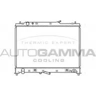 Радиатор охлаждения двигателя AUTOGAMMA L0NVAK 3852949 SST WM 105921