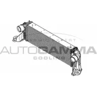 Интеркулер AUTOGAMMA 11 10LG9 105949 LQASJCW 3852977