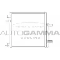 Радиатор кондиционера AUTOGAMMA 105977 IE TCH 3853004 WDLLG0