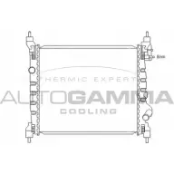 Радиатор охлаждения двигателя AUTOGAMMA 3853012 PU5O2 M 105986 DDBI3UL