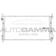 Радиатор охлаждения двигателя AUTOGAMMA QGF1LV JZDO J 3853028 107003