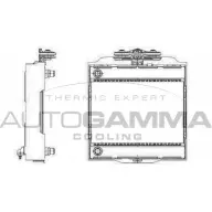 Радиатор охлаждения двигателя AUTOGAMMA 3853034 P 2D0O 107009 EQ2LS