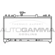 Радиатор охлаждения двигателя AUTOGAMMA 3GV4EYS 3853061 9T3V E1U 107039
