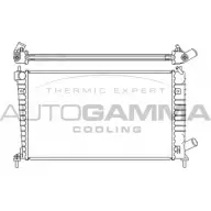 Радиатор охлаждения двигателя AUTOGAMMA 3853072 XIV3JV B F44Z 107050