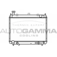 Радиатор охлаждения двигателя AUTOGAMMA 107056 X7TF8 F3PT S42 3853078