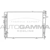Радиатор охлаждения двигателя AUTOGAMMA Y WRDX2 107072 RVVD0P 3853094