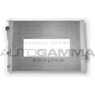 Радиатор охлаждения двигателя AUTOGAMMA 3853150 CB 6MA VWNCF1 107129