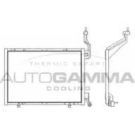 Радиатор кондиционера AUTOGAMMA T1QVG5T 107150 SSD MBP 3853171