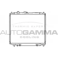 Радиатор охлаждения двигателя AUTOGAMMA OPTP6 E 9QH46 107252 3853272