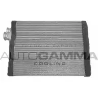 Радиатор печки, теплообменник AUTOGAMMA 3853276 107256 V86MO 6 CPGFE