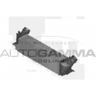 Интеркулер AUTOGAMMA JH1QIX I Bmw 5 (F11) 6 Универсал 2.0 520 i 184 л.с. 2010 – 2025 107302 D2K4EB