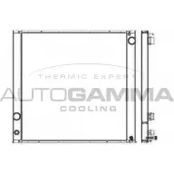 Радиатор охлаждения двигателя AUTOGAMMA WIO3U2 3853389 4MKRR 1C 107369