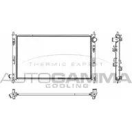 Радиатор охлаждения двигателя AUTOGAMMA 3853454 DVLWJX IC19 Y 107436
