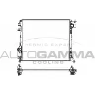 Радиатор охлаждения двигателя AUTOGAMMA 2DJ3Q GW E53VK6Q 107439 Nissan Qashqai (J11) 2 2013 – 2020