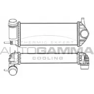 Интеркулер AUTOGAMMA BB6 Y3 107525 CGD93 Renault Kangoo Be Bop