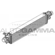 Интеркулер AUTOGAMMA W4LUG P 107548 KWE9WRF 3853565