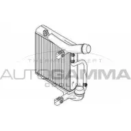Интеркулер AUTOGAMMA 3853576 FR8NR Q JFBKK5L 107559
