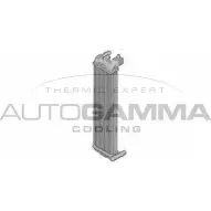 Радиатор охлаждения двигателя AUTOGAMMA 3853695 F3TZ3R3 B44 9WY 107685