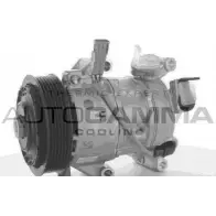 Компрессор кондиционера AUTOGAMMA I1FJ6M2 118421 9DSX Z 3855076
