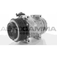 Компрессор кондиционера AUTOGAMMA 118450 75NP GYG 3855105 FJSEIYN