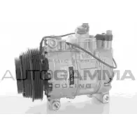 Компрессор кондиционера AUTOGAMMA SL0X PN 118538 LWS818 3855193