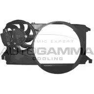 Вентилятор радиатора двигателя AUTOGAMMA HQW GBL1 DW0MA4 3856120 GA200900