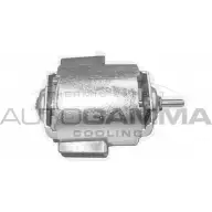 Моторчик печки, вентилятора AUTOGAMMA 3856208 8FPM0W GA20112 R8M 2MW