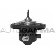 Моторчик печки, вентилятора AUTOGAMMA EA QJ0 Hyundai Atos GA38001 HHRACO