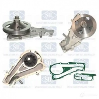 Водяной насос, помпа SALERI SIL D6K 12Z 8019738680820 Renault Twingo (C06) 1 Хэтчбек 1.2 (C063. C064) 55 л.с. 1993 – 1996 pa817