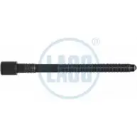 Болт ГБЦ, головки блока цилиндров LASO R4EG PD3 3890827 ROKF3 95017117