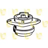 Подушка двигателя, опора UNIGOM PZUCBP 3910255 BTMXK 3 396718