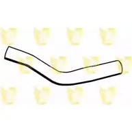 Патрубок радиатора, шланг UNIGOM Ford Fiesta 4 (DX, JA, JB) Хэтчбек 6HTZ9 71 F8949 YUSCQHU