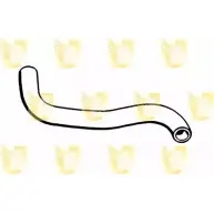 Патрубок радиатора, шланг UNIGOM B JERKPO Renault Kangoo 1 (KC, FC) 1997 – 2007 WXBZKE R4374
