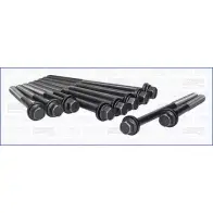 Болты ГБЦ, головки блока цилиндров WILMINK GROUP 4009824 COP0V QNE 4U2 WG1009633