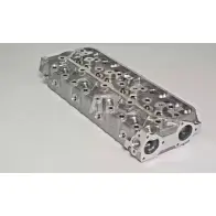 Головка блока цилиндров WILMINK GROUP WG1010900 PWBJM2B X9JW 5 4010821
