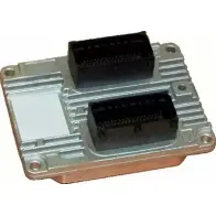 Блок управления двигателем WILMINK GROUP R3IM1V GU62C 4 WG1014582 4014272