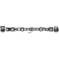 Распредвал WILMINK GROUP K81NWCI 4029526 E C6060 WG1051555